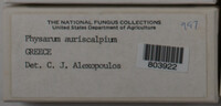 Image Associated With the Occurence